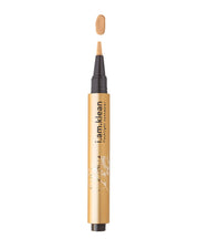 Flashlight concealer